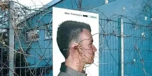 1648445817414976.jpg 9.jpg